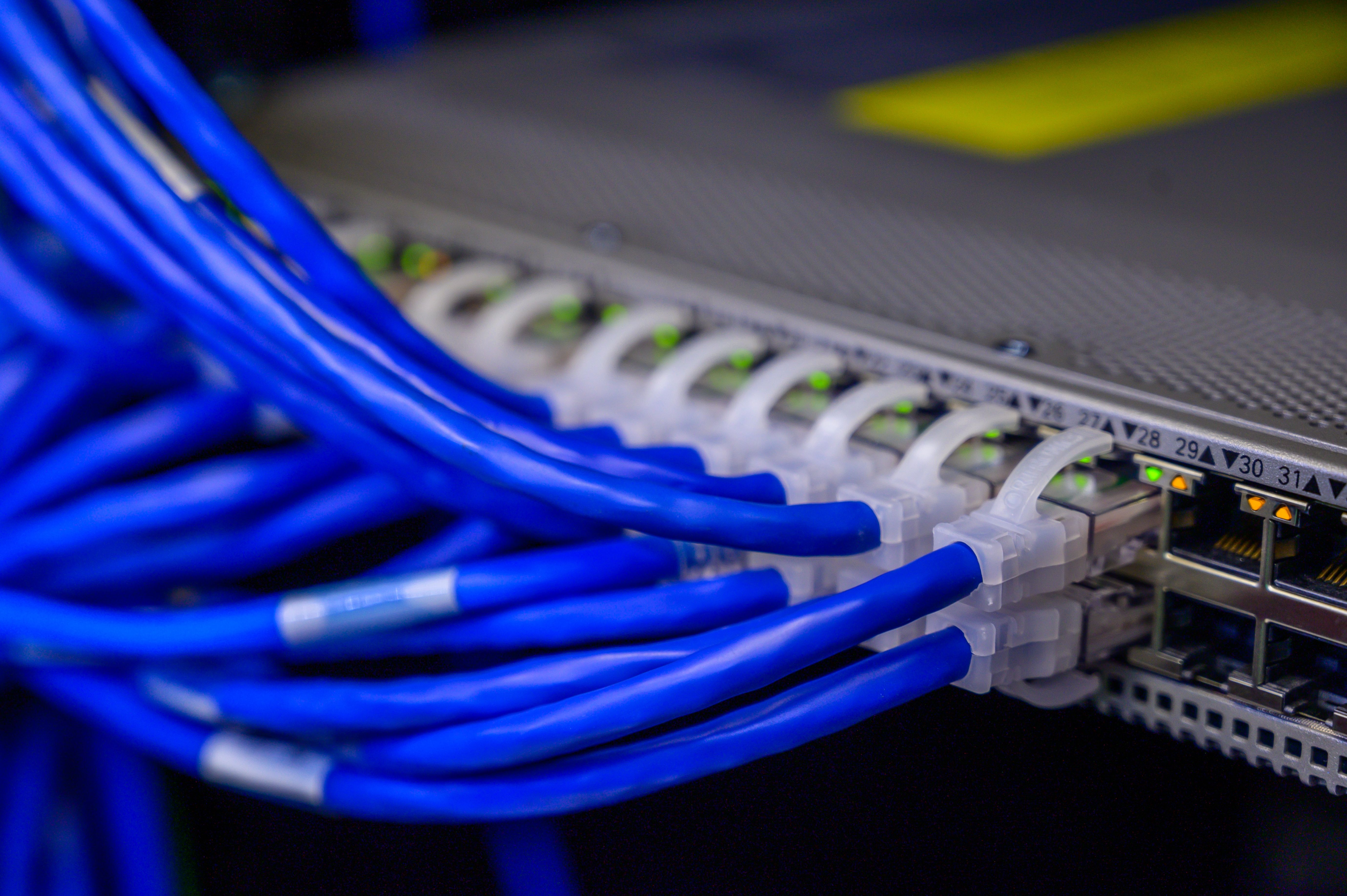 Blue ethernet cables connected to a network switch representing CDN and connectivity
